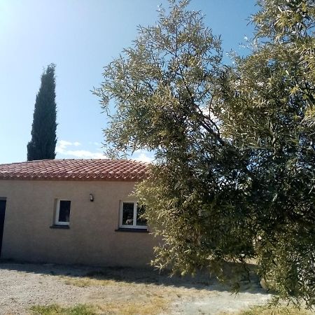 Maison Du Causse Magalas Εξωτερικό φωτογραφία