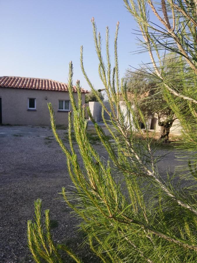 Maison Du Causse Magalas Εξωτερικό φωτογραφία