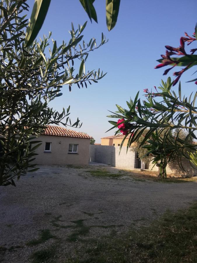Maison Du Causse Magalas Εξωτερικό φωτογραφία